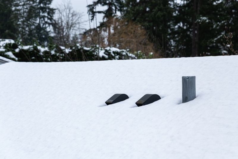 Ice Dam Removal Service